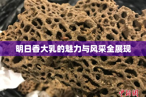 明日香大乳的魅力与风采全展现
