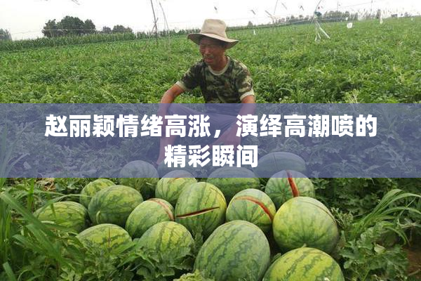 赵丽颖情绪高涨，演绎高潮喷的精彩瞬间