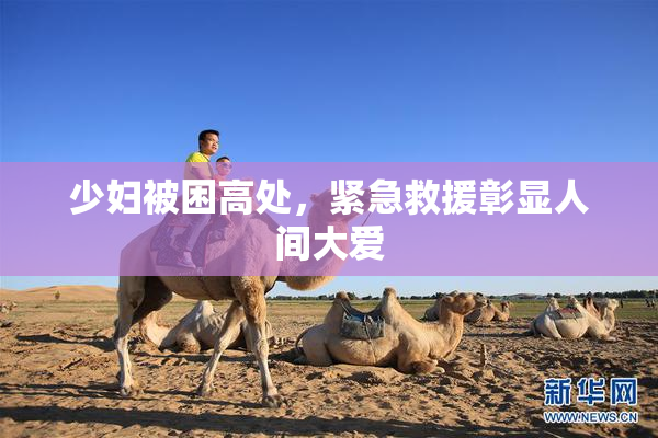 少妇被困高处，紧急救援彰显人间大爱