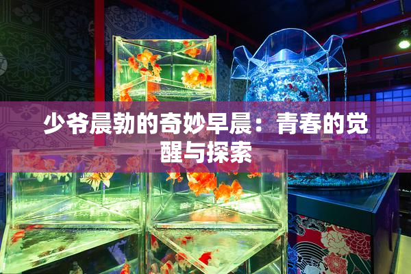 少爷晨勃的奇妙早晨：青春的觉醒与探索