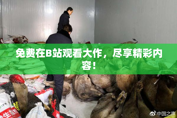 免费在B站观看大作，尽享精彩内容！