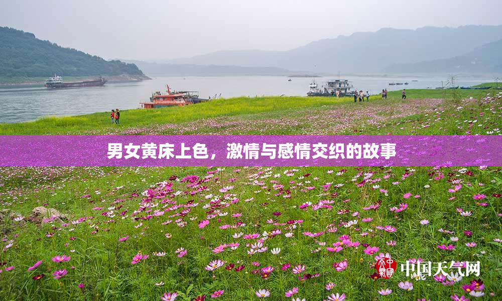 男女黄床上色，激情与感情交织的故事