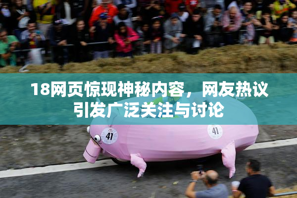 18网页惊现神秘内容，网友热议引发广泛关注与讨论