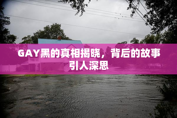 GAY黑的真相揭晓，背后的故事引人深思