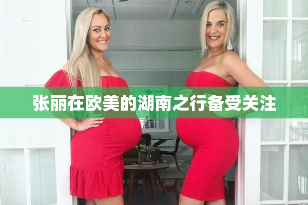 张丽在欧美的湖南之行备受关注