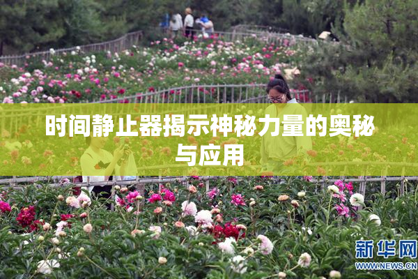 时间静止器揭示神秘力量的奥秘与应用