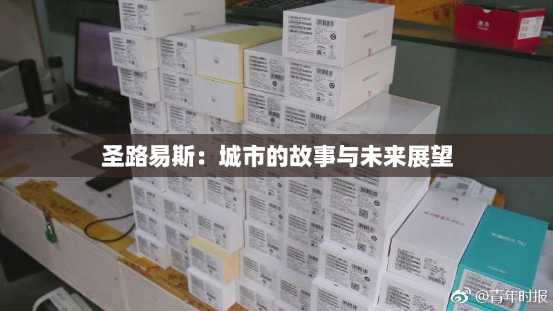 圣路易斯：城市的故事与未来展望
