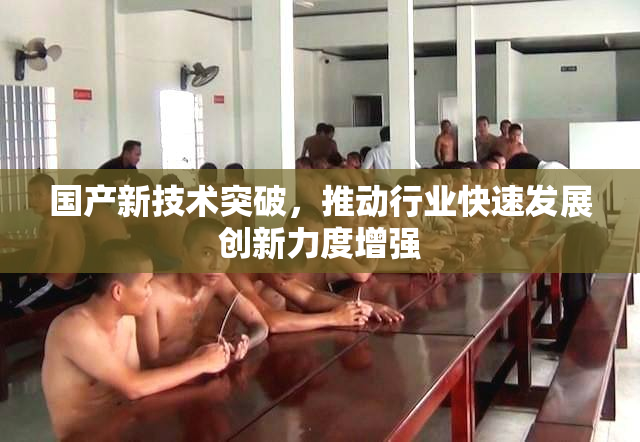 国产新技术突破，推动行业快速发展创新力度增强
