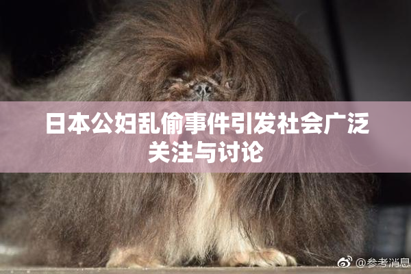 日本公妇乱偷事件引发社会广泛关注与讨论