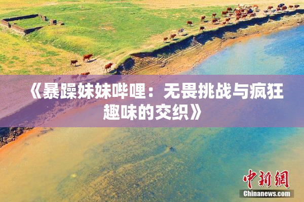 《暴躁妹妹哔哩：无畏挑战与疯狂趣味的交织》