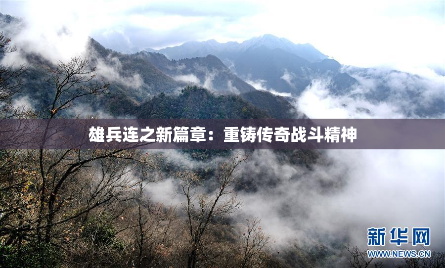 雄兵连之新篇章：重铸传奇战斗精神