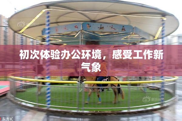初次体验办公环境，感受工作新气象