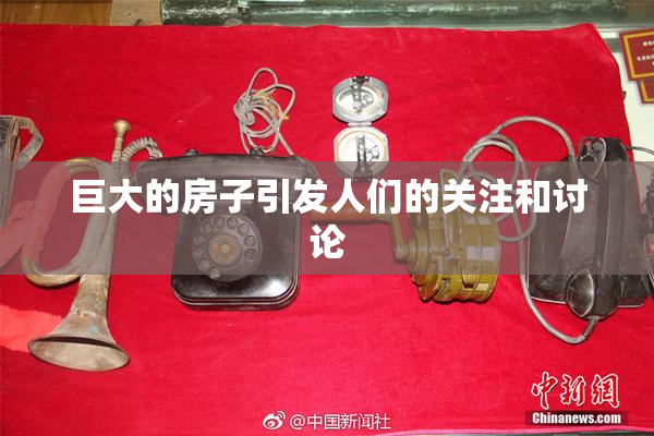 巨大的房子引发人们的关注和讨论