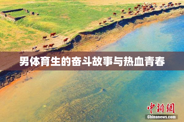 男体育生的奋斗故事与热血青春