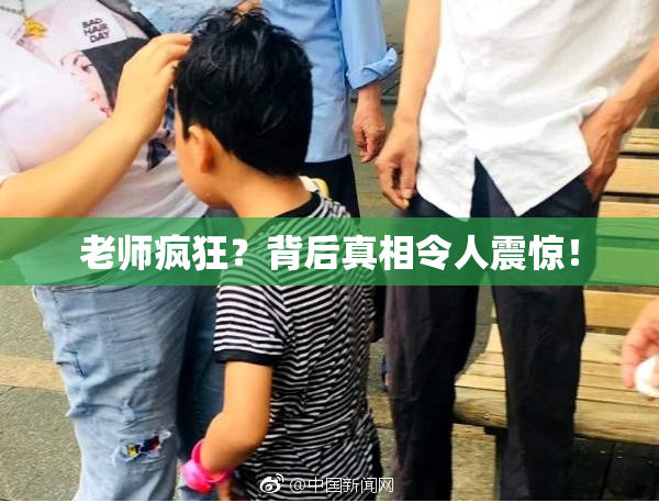 老师疯狂？背后真相令人震惊！