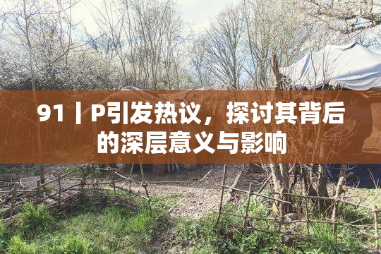 91丨P引发热议，探讨其背后的深层意义与影响