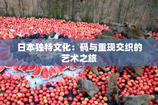 日本独特文化：码与重现交织的艺术之旅