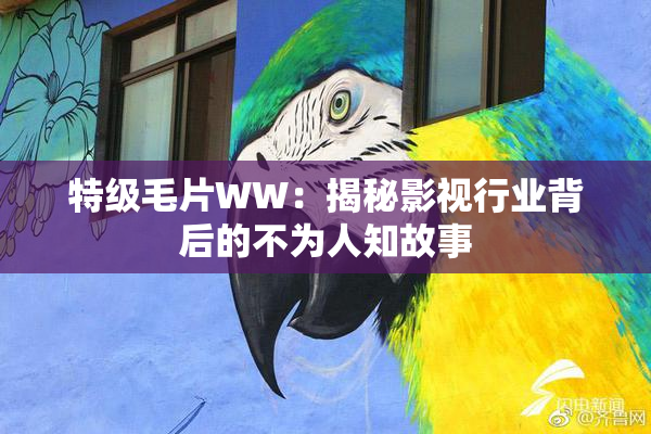 特级毛片WW：揭秘影视行业背后的不为人知故事