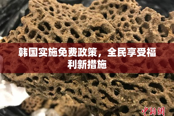 韩国实施免费政策，全民享受福利新措施