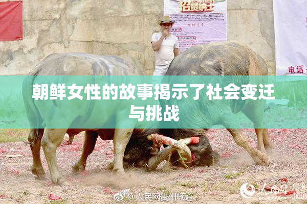 朝鲜女性的故事揭示了社会变迁与挑战