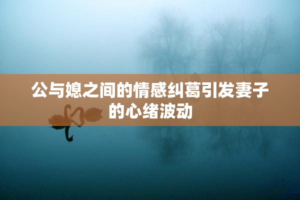 公与媳之间的情感纠葛引发妻子的心绪波动