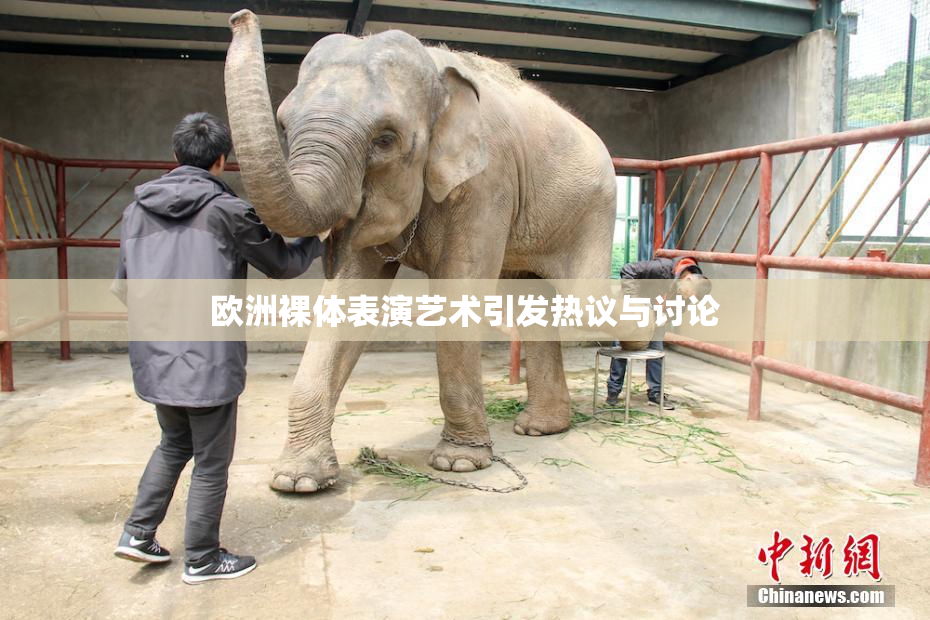 欧洲裸体表演艺术引发热议与讨论