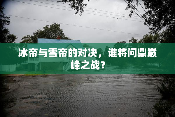 冰帝与雪帝的对决，谁将问鼎巅峰之战？