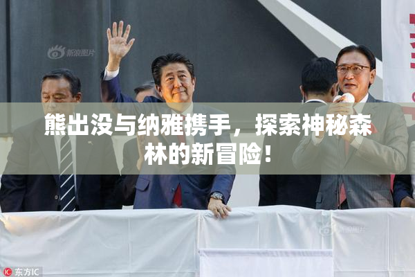 熊出没与纳雅携手，探索神秘森林的新冒险！