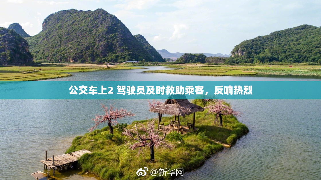 公交车上2 驾驶员及时救助乘客，反响热烈