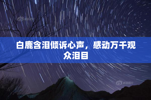 白鹿含泪倾诉心声，感动万千观众泪目