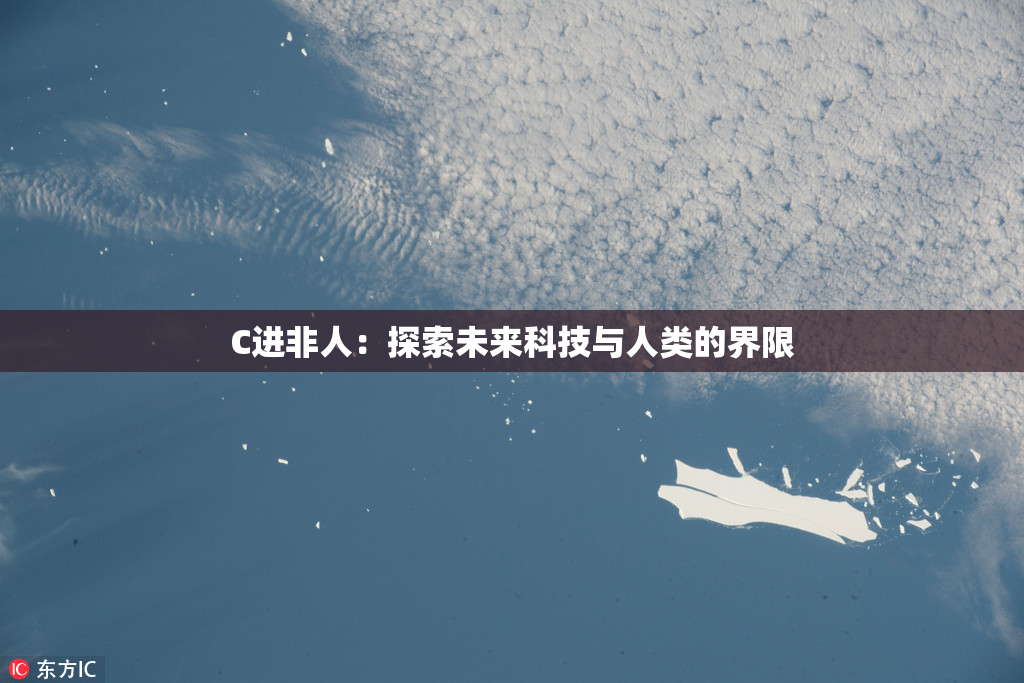 C进非人：探索未来科技与人类的界限