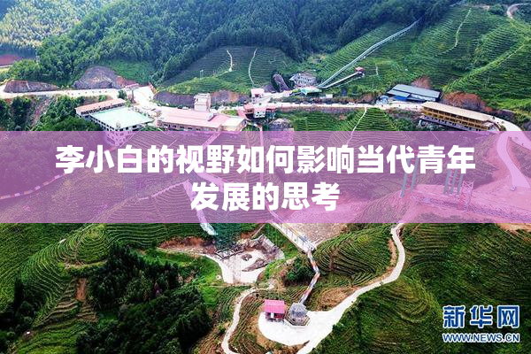 李小白的视野如何影响当代青年发展的思考