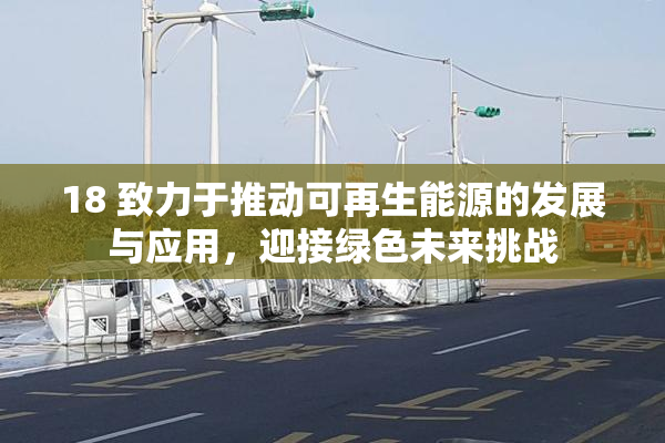 18 致力于推动可再生能源的发展与应用，迎接绿色未来挑战