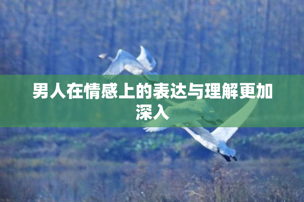 男人在情感上的表达与理解更加深入