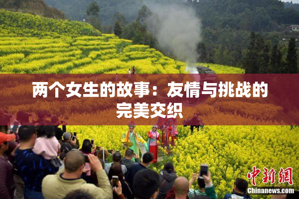 两个女生的故事：友情与挑战的完美交织