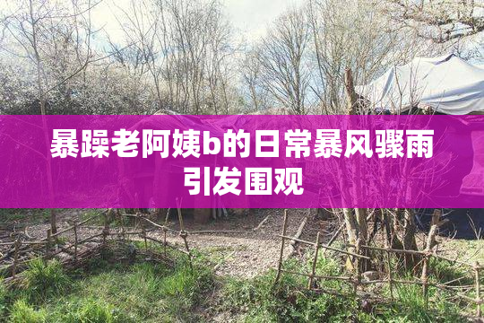 暴躁老阿姨b的日常暴风骤雨引发围观