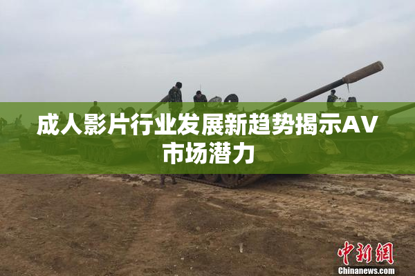 成人影片行业发展新趋势揭示AV市场潜力