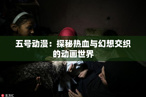 五号动漫：探秘热血与幻想交织的动画世界