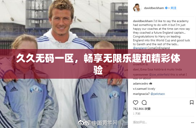 久久无码一区，畅享无限乐趣和精彩体验