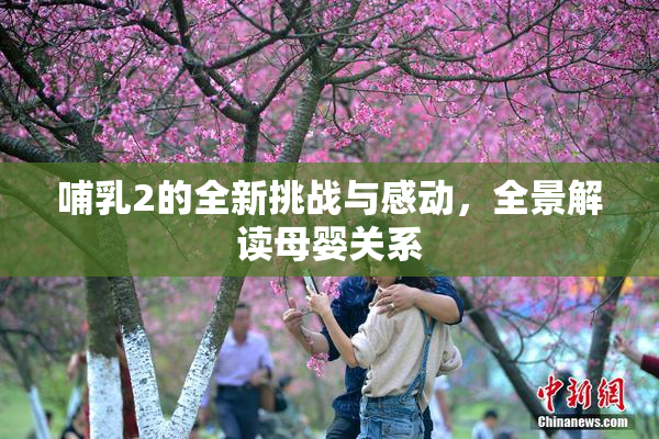 哺乳2的全新挑战与感动，全景解读母婴关系