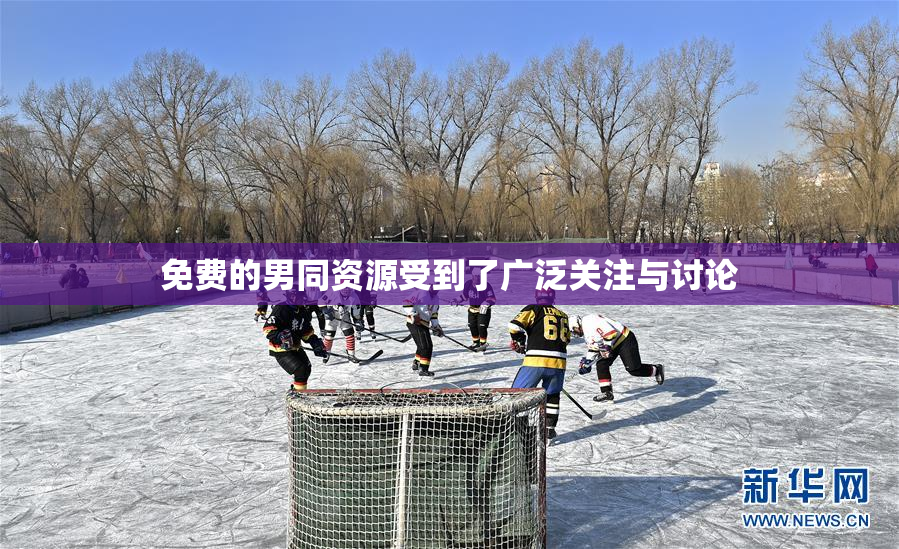 免费的男同资源受到了广泛关注与讨论