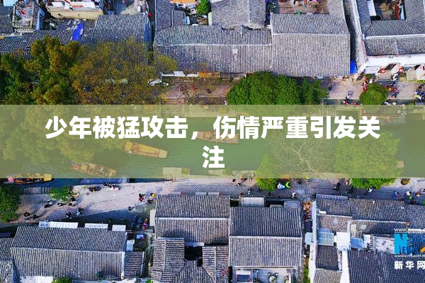 少年被猛攻击，伤情严重引发关注
