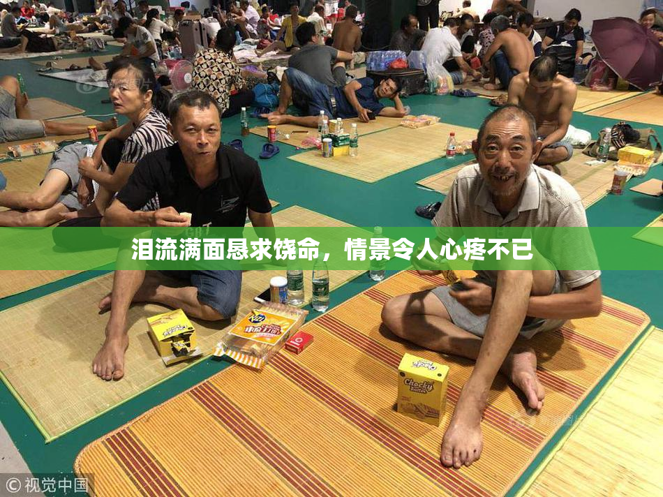 泪流满面恳求饶命，情景令人心疼不已