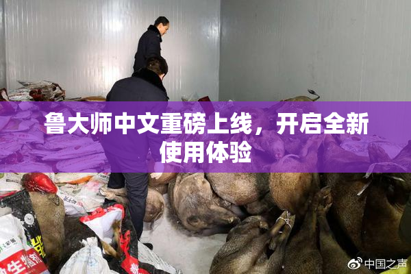 鲁大师中文重磅上线，开启全新使用体验