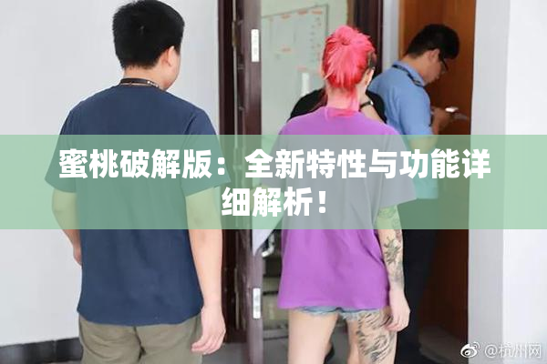 蜜桃破解版：全新特性与功能详细解析！