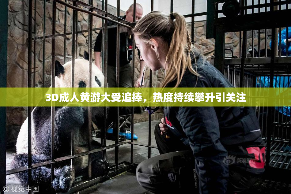 3D成人黄游大受追捧，热度持续攀升引关注