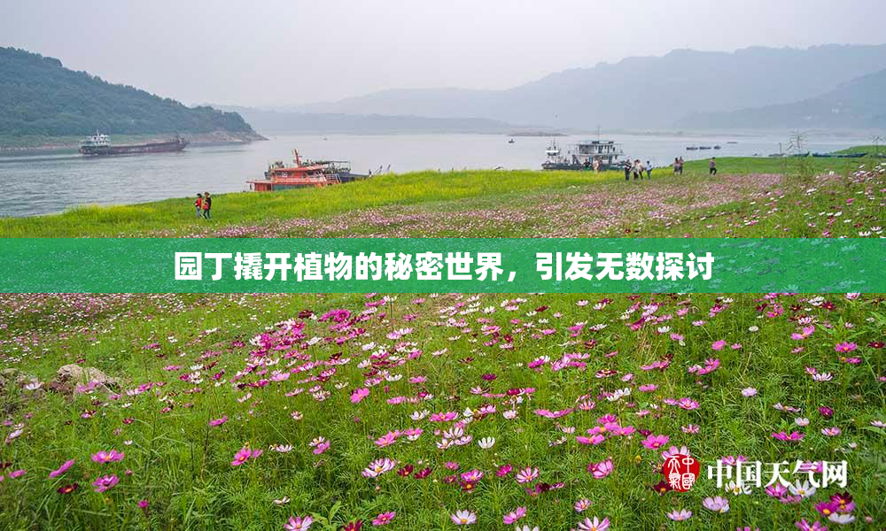 园丁撬开植物的秘密世界，引发无数探讨