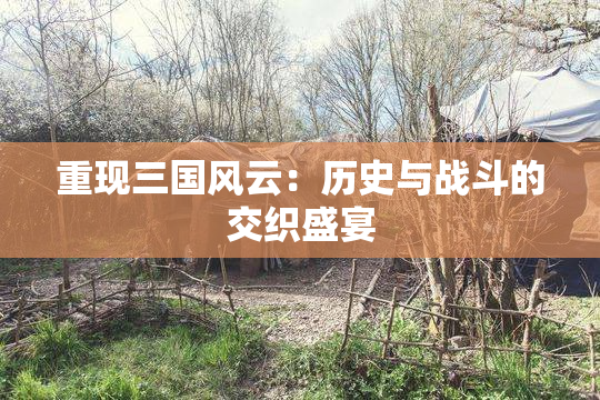 重现三国风云：历史与战斗的交织盛宴