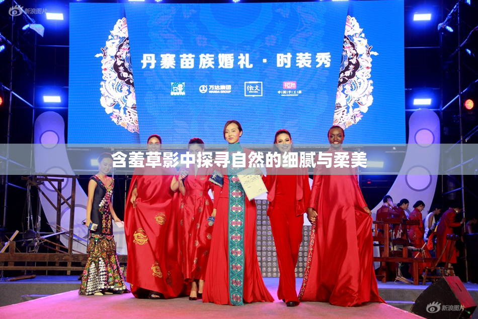 含羞草影中探寻自然的细腻与柔美