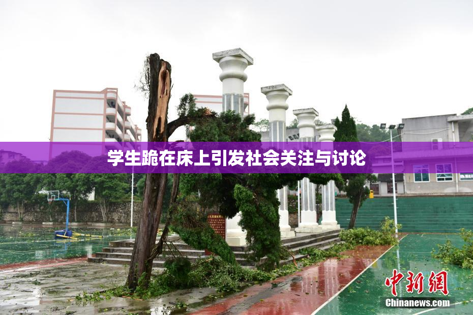 学生跪在床上引发社会关注与讨论